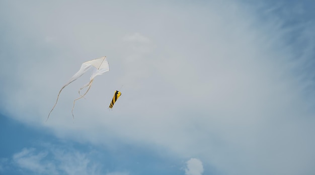 Aquiloni che si librano nel cielo con l'idea delle nuvole per uno striscione con spazio di copia