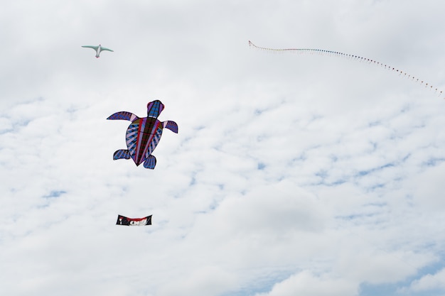 Aquiloni che volano nel cielo tra le nuvole. Festival degli aquiloni