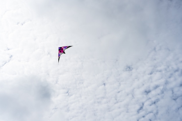 Aquiloni che volano nel cielo tra le nuvole. Festival degli aquiloni