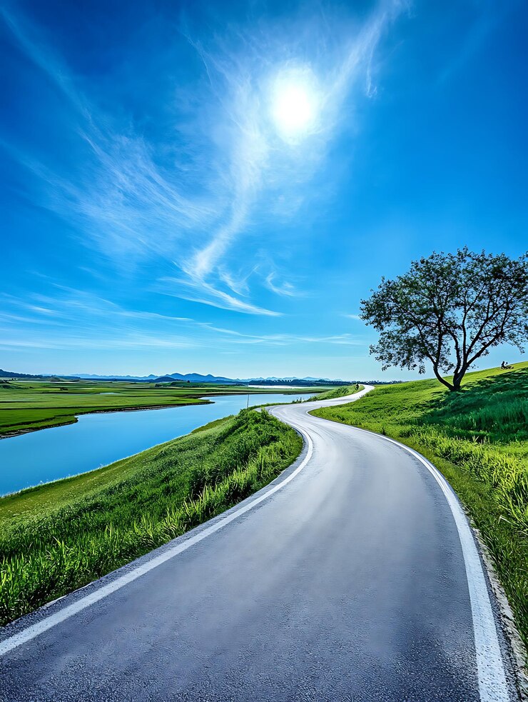 arafed road with a tree and a lake in the distance
