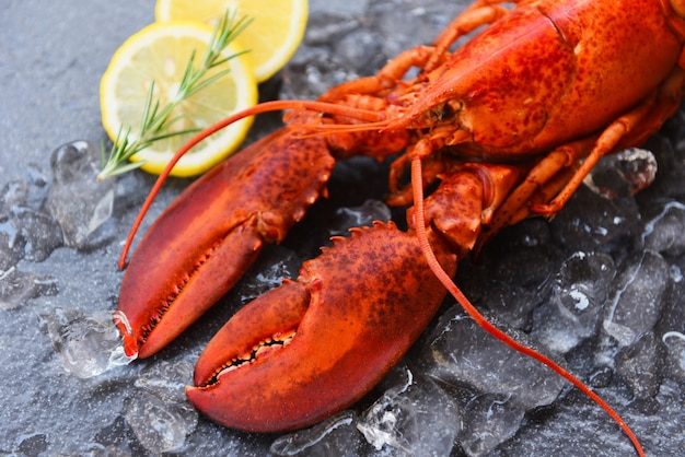 Aragosta fresca cibo su uno sfondo nero piatto - cena di aragosta rossa frutti di mare con spezie alle erbe limone rosmarino servito tavolo e ghiaccio nel ristorante gourmet cibo sano aragosta bollita cucinato