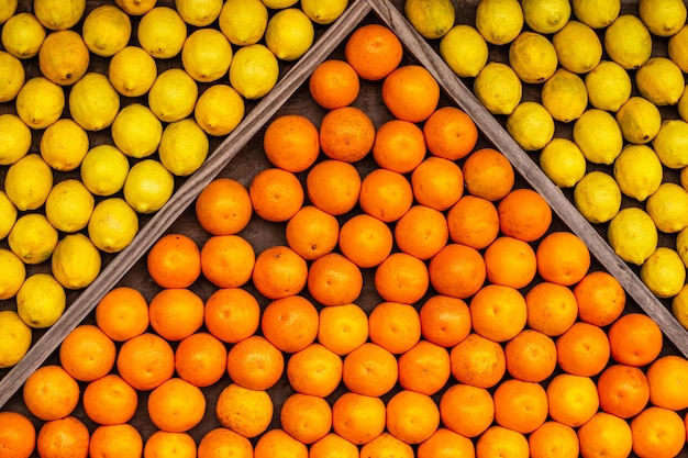 Arance e limoni in un fruttivendolo.