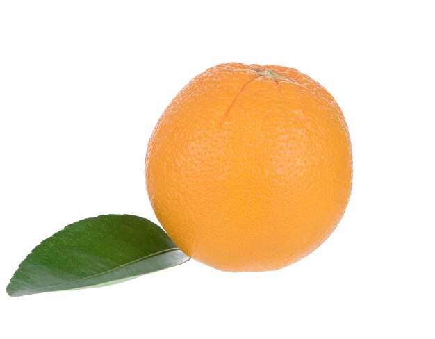 Arancio isolato su bianco
