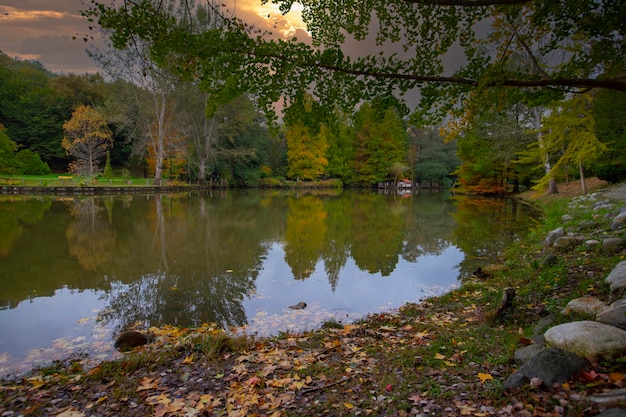 Arboreto di Ataturk nel quartiere Sariyer di Istanbul