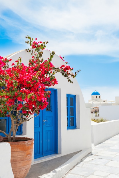 Architettura bianca e fiori rosa nel villaggio di Oia, isola di Santorini, Grecia. Viaggio e vacanza