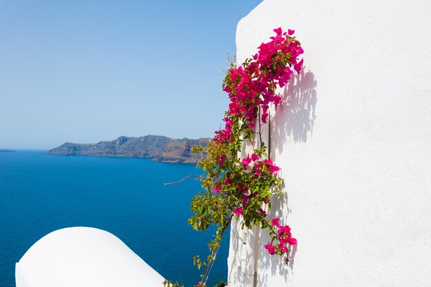 Architettura bianca sull'isola di Santorini, Grecia. Bellissimo paesaggio estivo, vista mare.