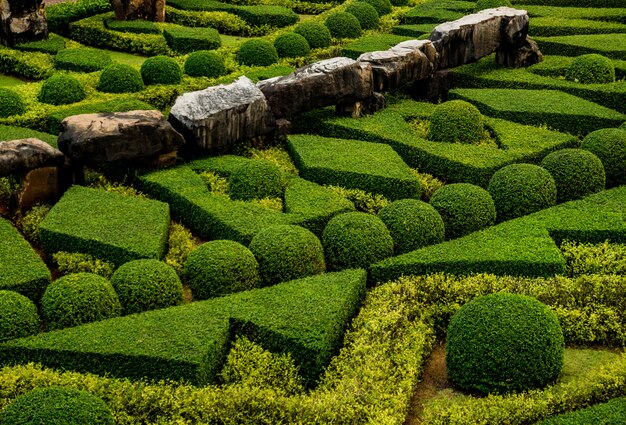 Architettura del paesaggio di lusso del giardino tropicale. Bella vista sul paesaggio tropicale