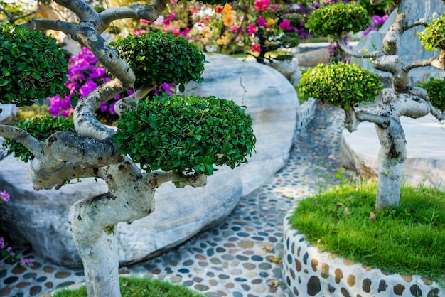 Architettura del paesaggio di lusso del giardino tropicale.