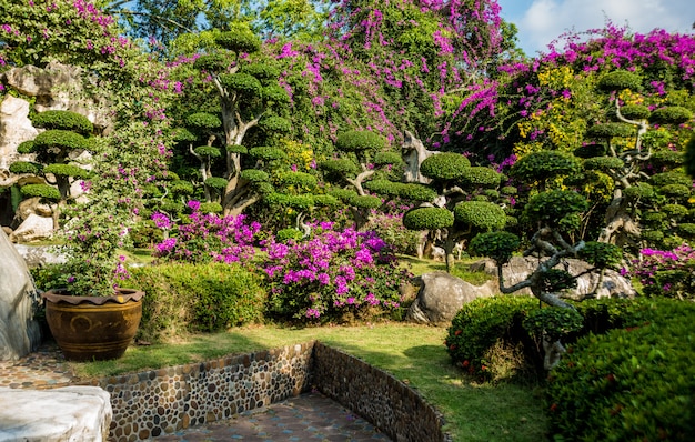 Architettura del paesaggio di lusso del giardino tropicale.