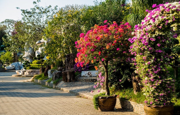 Architettura del paesaggio di lusso del giardino tropicale.