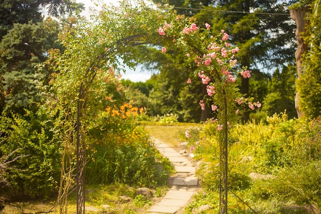 Arco decorativo con rose nel giardino estivo