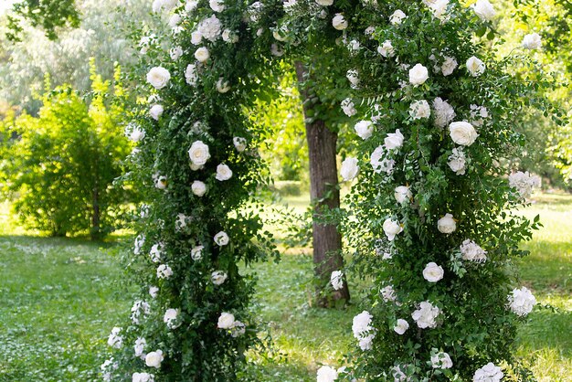 Arco decorativo per matrimonio con fiori bianchi