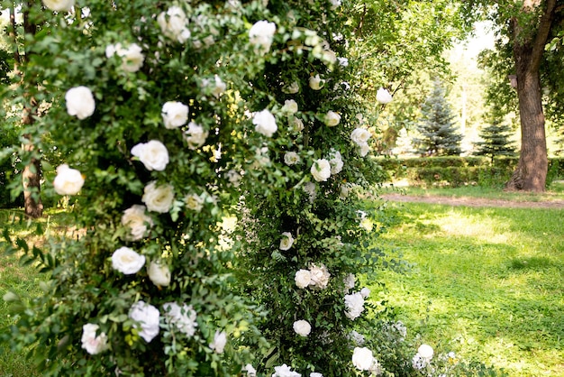 Arco decorativo per matrimonio con fiori bianchi