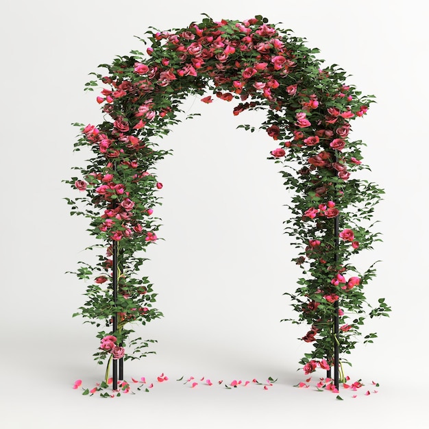 Arco di rose rosa isolato su sfondo monocromatico vista frontale