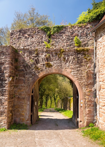Arco e cancello nel vecchio muro del castello