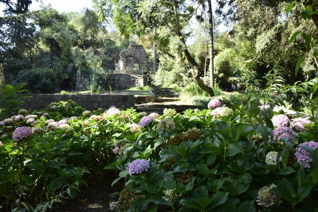 Arco in pietra con ragnatela di metallo nel parco cittadino di Santiago del Cile