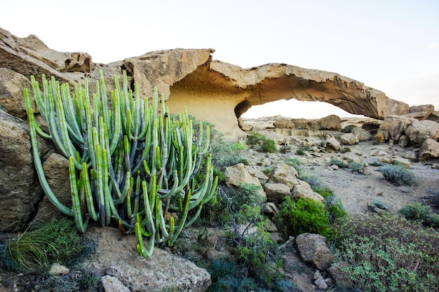 Arco naturale di formazione vulcanica nel deserto Isole Canarie di Tenerife Spagna