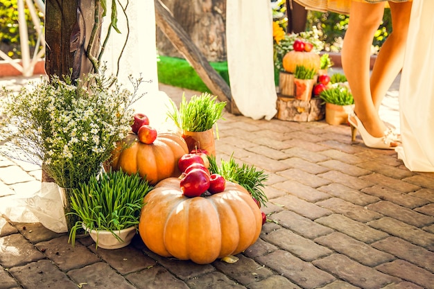 Arco nuziale per cerimonia di matrimonio fuori sede, decorato in tema autunnale con zucche.