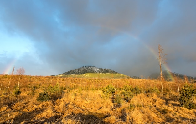 Arcobaleno colorato su sfondo grigio cielo nuvoloso in montagna.