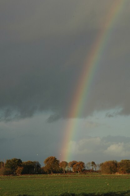 Arcobaleno su un prato