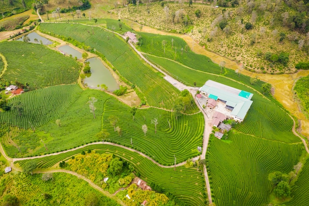 Area agricola vista aerea