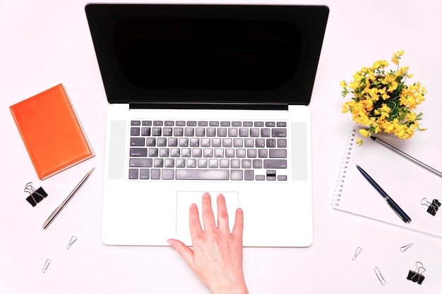 Area di lavoro con mano di donna che lavora sulla tastiera del laptop e fiori gialli su sfondo bianco. Vista piana e dall'alto