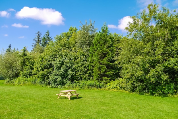 Area picnic con tavolo in legno sul prato verde in un parco