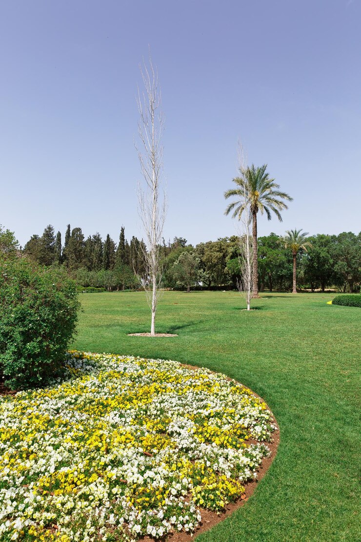 Foto area pittoresca nel parco ramat hanadiv, israele
