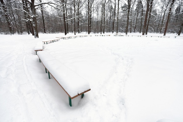 Area pubblica innevata con panchine nel parco cittadino