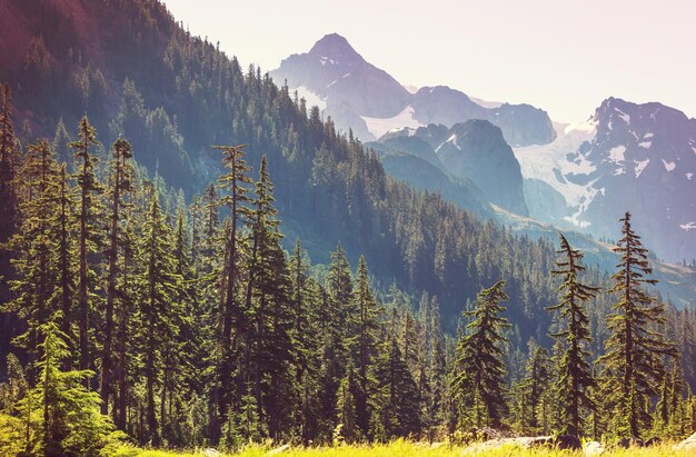 Area ricreativa di Mt. Baker, Washington, USA