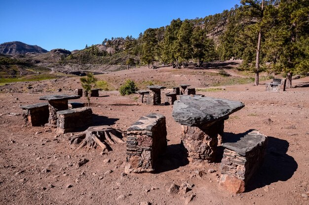 Area ricreativa picnic a Gran Canaria Isole Canarie