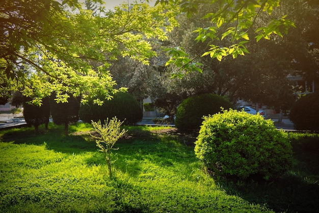 Aree verdi nel parco cittadino di primavera