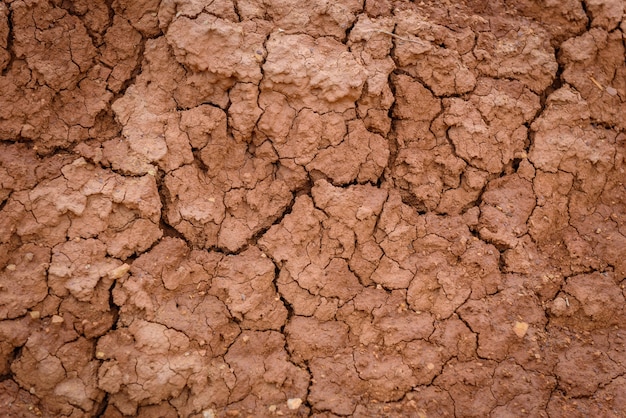 Argilla incrinata rovente nel deserto