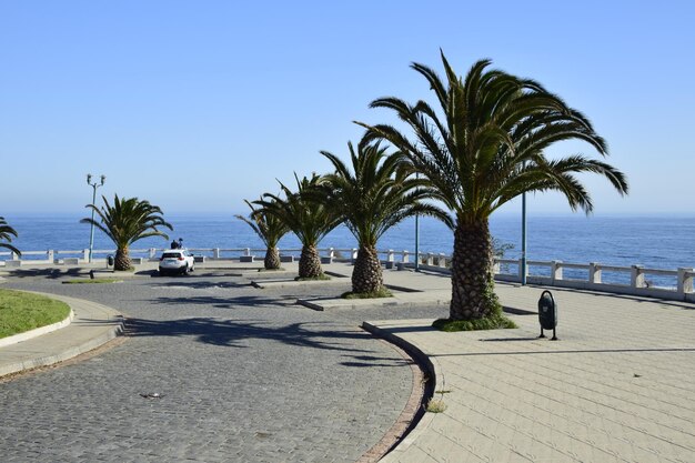 Argine oceanico della città storica Valparaiso Chili