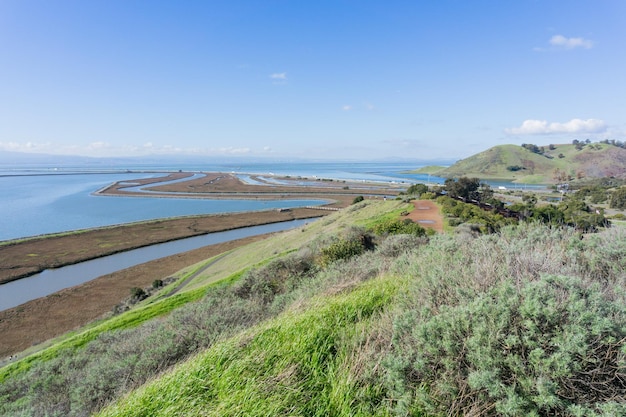 Argini nel rifugio della fauna selvatica di Don Edwards Dumbarton Bridge e Coyote Hills Regional Park Fremont San Francisco Bay Area California