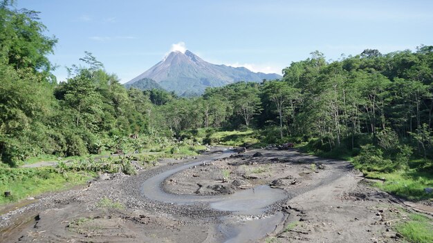 Armonia aerea Alberi e giardini sereni delle risaie di Jogja