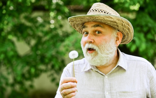 Armonia dell'anima Nonno pacifico che soffia il dente di leone Pensionamento felice e spensierato Salute mentale Pace della mente Uomo anziano con cappello estivo di paglia Nonno uomo anziano che soffia semi di dente di leone nel parco