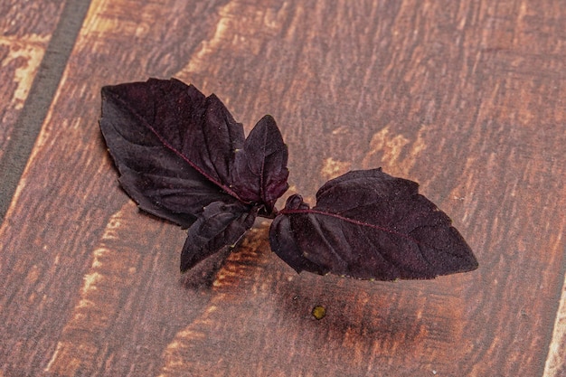 Aroma di foglie di basilico biologico crudo viola