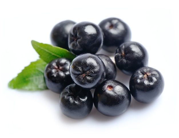 Aronia da vicino. Bacche di Aronia nera.