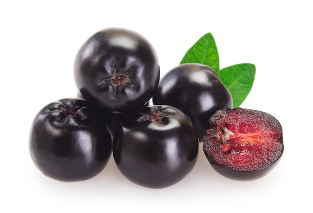 Aronia fresca isolata sul primo piano bianco del fondo