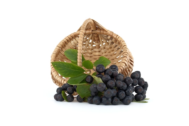 Aronia nera con foglia isolata sopra un bianco