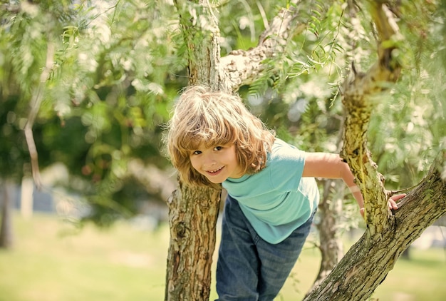 Arrampicarsi sugli alberi è sempre divertente Ragazzo attivo bambino arrampicarsi sull'albero Divertimento per l'infanzia Attività estive