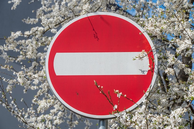 Arresti il segnale stradale sullo sfondo di un albero fiorito in mattoni bianchi nel cartello stradale del cerchio rosso