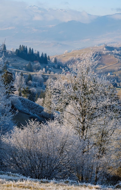 Arrivo dell'inverno Ultimi giorni di mattina d'autunno nel paesaggio di montagna pacifica pittoresca scena hoarfrosted Ucraina Carpazi