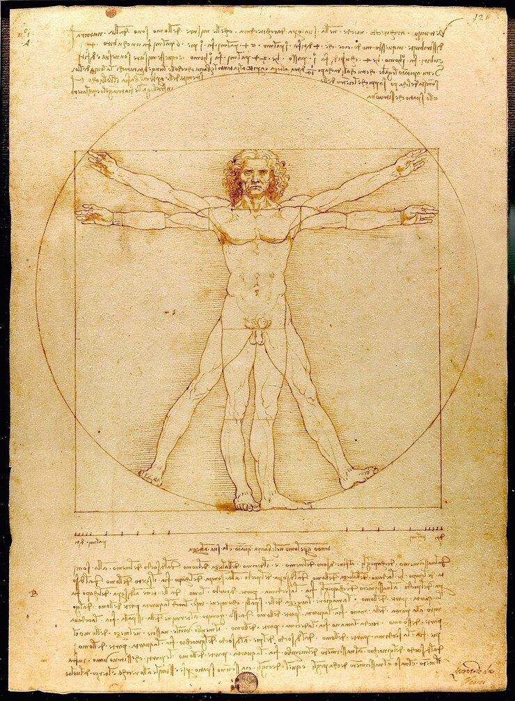 Foto arte da vinci e disegno dell'anatomia dell'uomo per la rinascita scienza e biologia pittura vitruviana storia dell'arte simbolo e famoso disegno d'artista su pergamena tela vintage e illustrazione