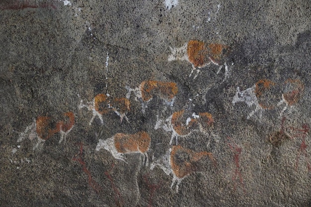 Arte rupestre decorativa di antiche tribù allo zoo danese