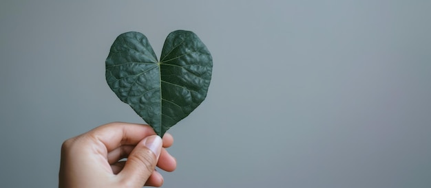 Artificiale artificiale generativo con la mano che tiene una foglia a forma di cuore verde concetto di risorse rinnovabili e sostenibili