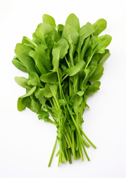 Arugula fresca su uno sfondo bianco IA generativa