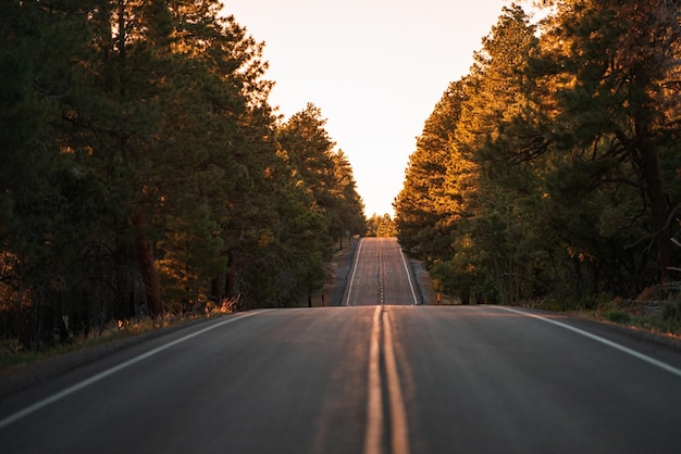 Asfalto autostrada strada e cielo nuvole al tramonto paesaggio. Strada asfaltata vuota dell'autostrada e bellissimo paesaggio al tramonto del cielo.