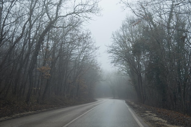 Asfalto della strada della nebbia. Mistico paesaggio autunnale. Un viaggio nell'ignoto. Il concetto di paura